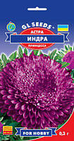 Астра Індра пурпурна сортотип принцеса компактна для оформлення клумб і зрізання, паковання 0,3 г