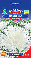 Астра Пушинка сортотип голчаста білосніжна махрова в букетах довго зберігається, паковання 0,3 г