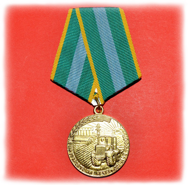 Медаль Нечорнозем'я, муляж, фото 1