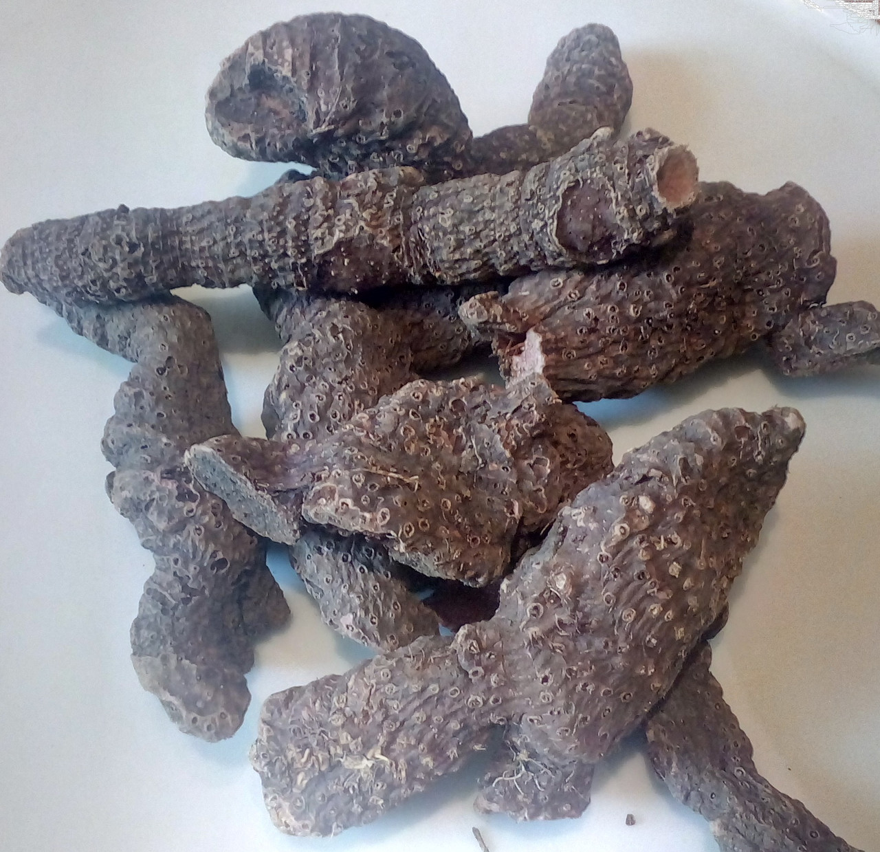 Ірис блідний / Касатік (коріння ціле), 1кг.