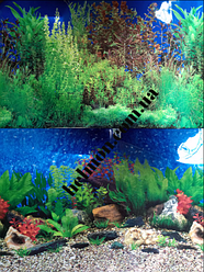 Фон для акваріума двосторонній рослини, висота 60 см, 9019/9033