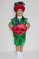 Дитячий карнавальний костюм Буряк (Свекла)