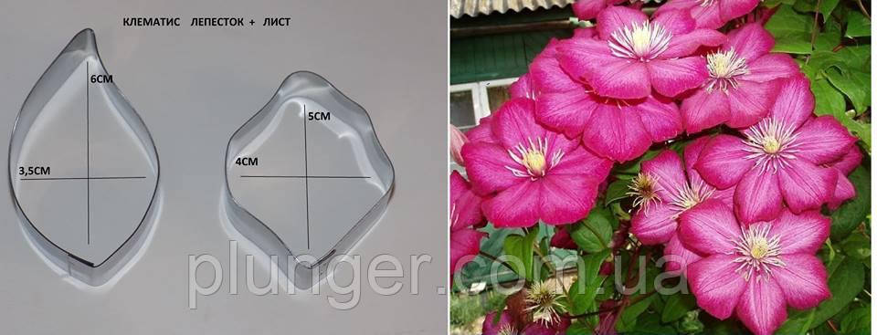 Набір металевих вирубок для мастики Клематіс, фото 1