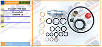 10-15-195/1, 097790-0010 CON RACCORDO Gasket kit