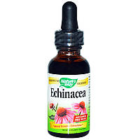 Ехінацея без спирту (Echinacea), nature's Way, 30 мл.