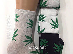 Шкарпетки чоловічі "конопля" високі