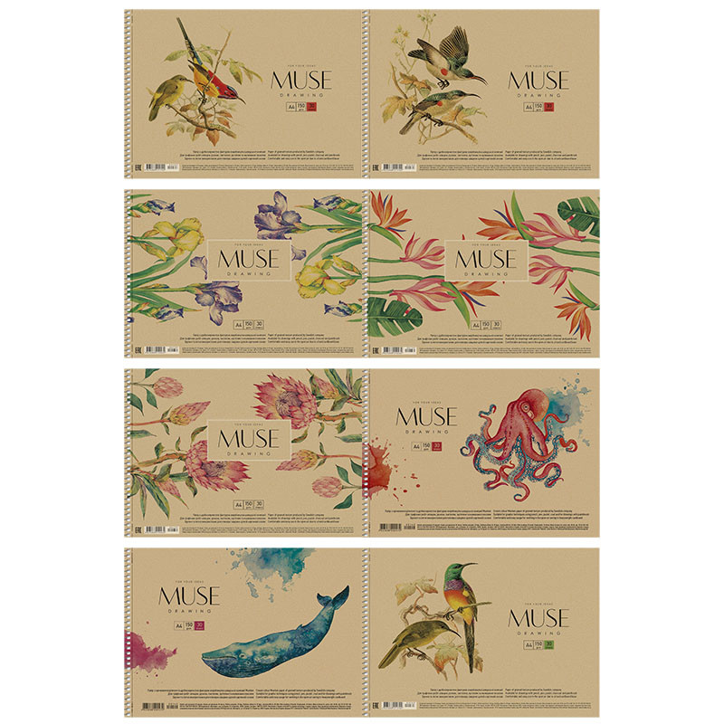 Альбом для малювання А4 Muse Drawing 30 аркушів 150 г/м2 на пружині PB-SC-030-163