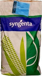 Насіння кукрузи НК Кобальт ФАО 320