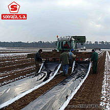 Плівка для мульчування Sotrafa / Сотрафа, перфорація 30*25 см (Іспанія), фото 6