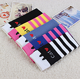 Гольфи - панчохи для Cat чорно-білі смугасті, фото 3