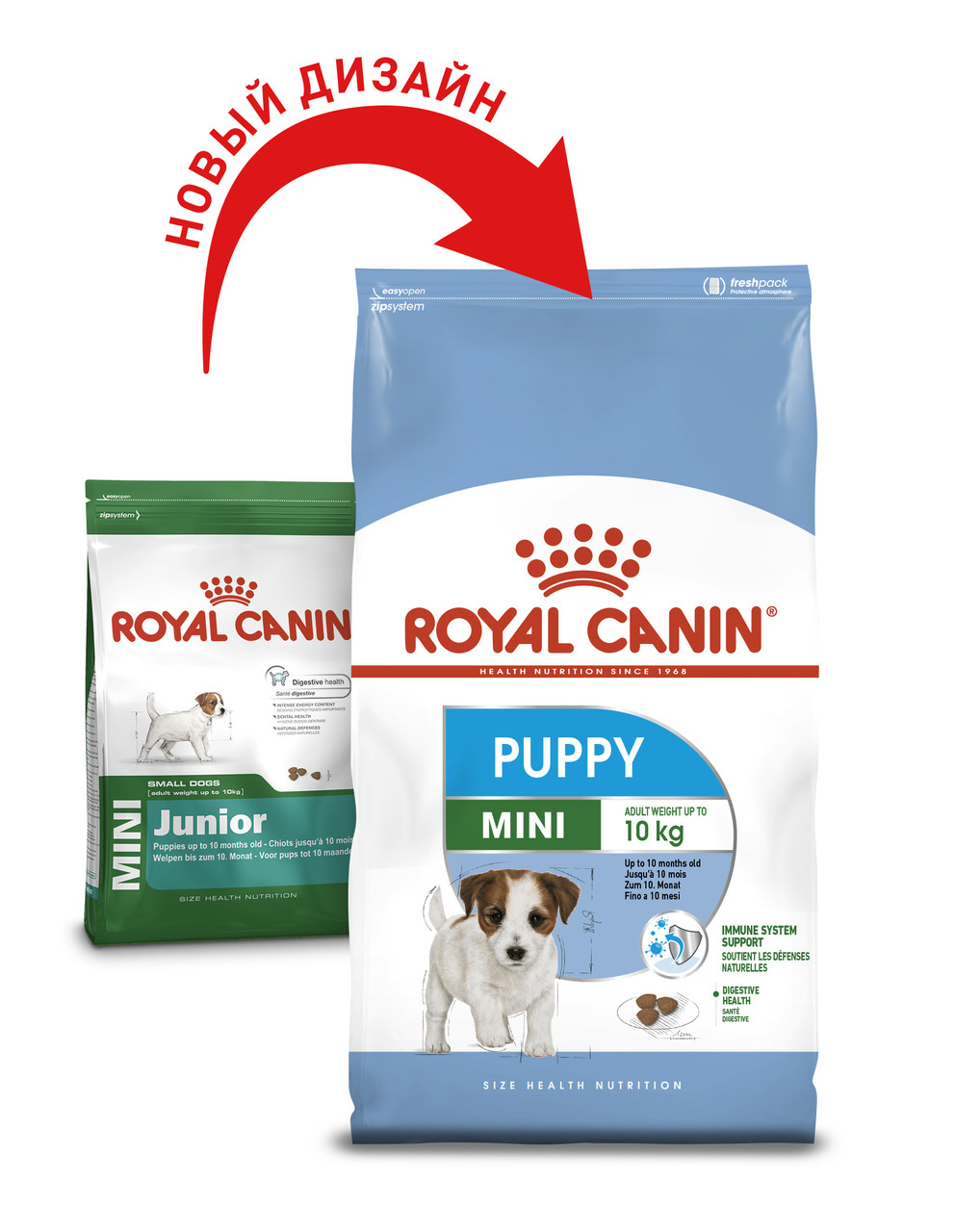Сухий корм Royal Canin Mini Puppy (Junior) 4 кг