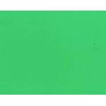 Пігмент Colorex TM Сніжка (0,1л) No42 зелений весняний