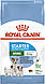 Сухий корм Royal Canin Mini Starter 8,5 кг, фото 2