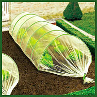 Теплиці та парники