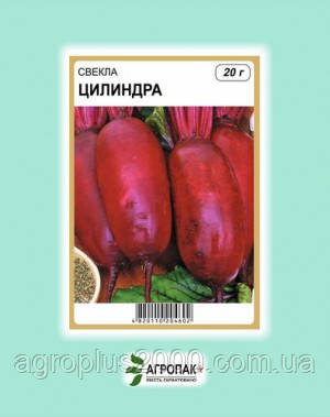 Насіння Буряк столовий Циліндра 20 грам Legutko Агропак, фото 1