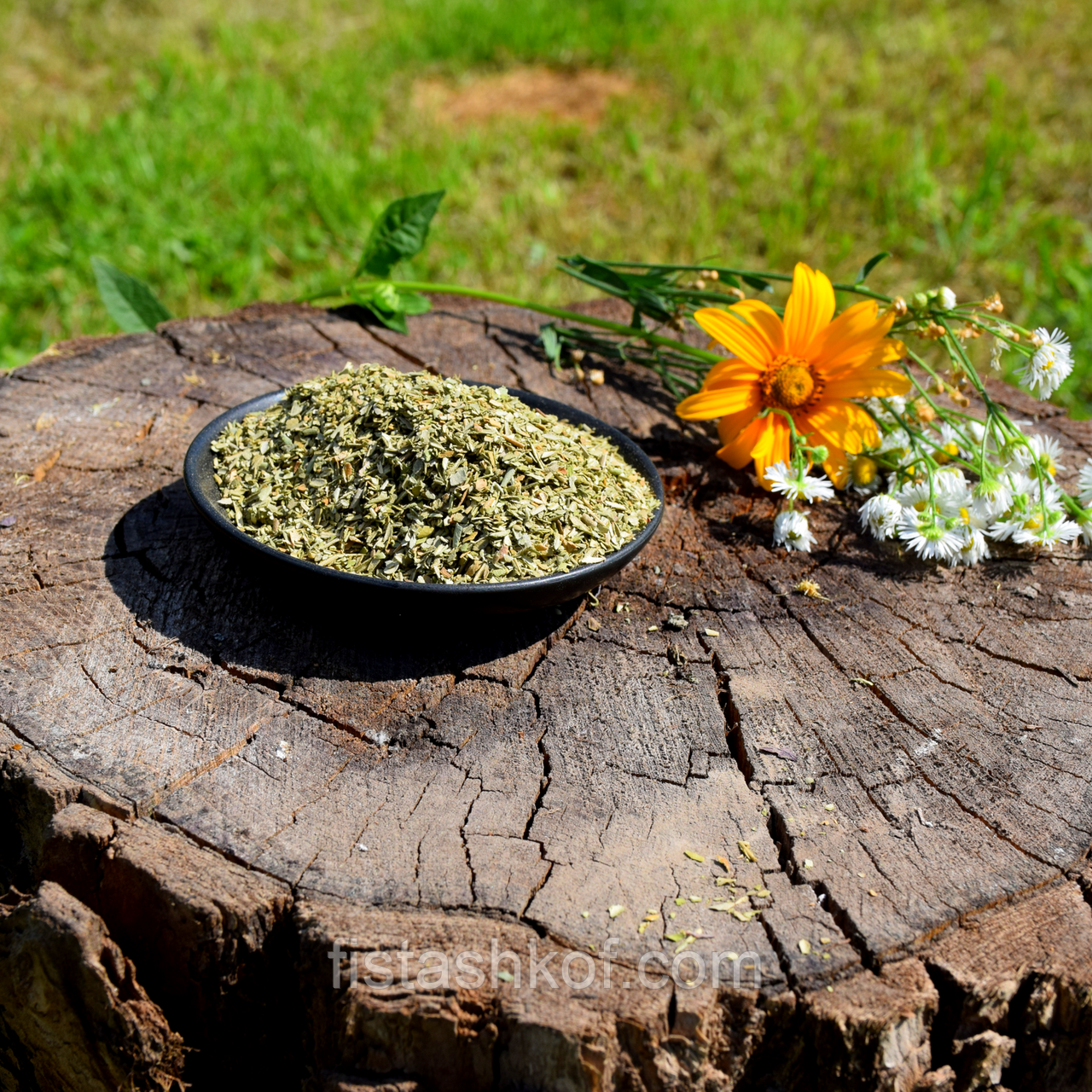 Орегано, фото 1