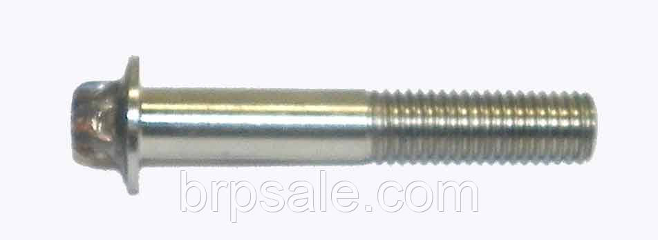 Болт для Циліндра і поршневої групи для RX X VIS HEX.FLASQUE*SCREW-HEX, фото 1