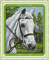 Белая лошадь D314/1 Набір для вишивання хрестиком з печаттю на тканині 14ст