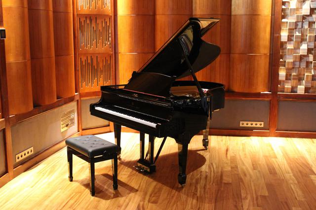 Vicoustic Wavewood Ultra Lite звукопоглинаюча і відбиваюча панель