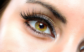 Пучкові вії SALON PROFESSIONAL