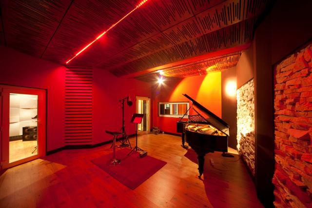 Vicoustic Wavewood Ultra Lite звукопоглощающая и отражающая панель