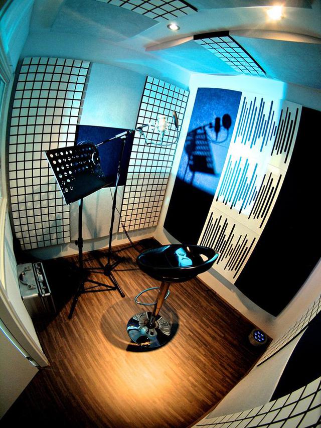 Vicoustic Wavewood Ultra Lite звукопоглинаюча і відбиваюча панель