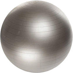 Фітбол м'яч для фітнесу Profi Ball 75 см посилений 0277 Silver