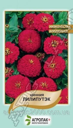 Насіння Цинія низькоросле Ліліпулек Червоне 0,2 грама Legutko Агропак, фото 1