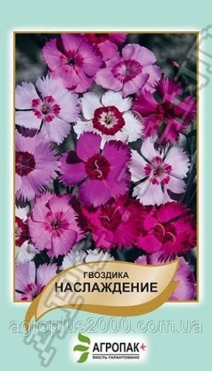 Насіння Гвоздика перисте Насолода 0,05 грама Legutko