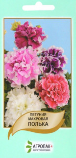 Насіння Петунія махрова Полька F1 суміш 50 насіння Сerny Seed Агропак