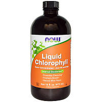 Хлорофилл жидкий с мятным вкусом / NOW - Liquid Chlorophyll + Mint (473 ml)