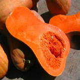 Насіння гарбуза Баттернат 2 г Anseme, фото 3