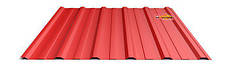 Профнастил для покрівлі Т-18 Blachy Pruszynski / 0,45 мм / RAL 7024 PEMA, фото 3