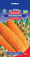 Кукуруза Попкорн суперранний европейский лопающийся сорт початки вкусные ароматные, упаковка 10 г