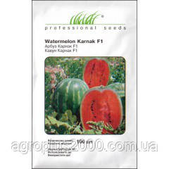 Насіння Кавун Карнак F1, 100 насіння United Genetics, фото 1