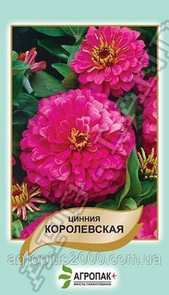 Насіння Цинія витончене Королівське 0,5 грама Legutko Агропак, фото 1
