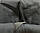 Чохли-майки Elegant на передні сидіння темно-сірі EL 105 250, фото 2