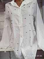 Жіноча блуза норма (р. S,M.L.)