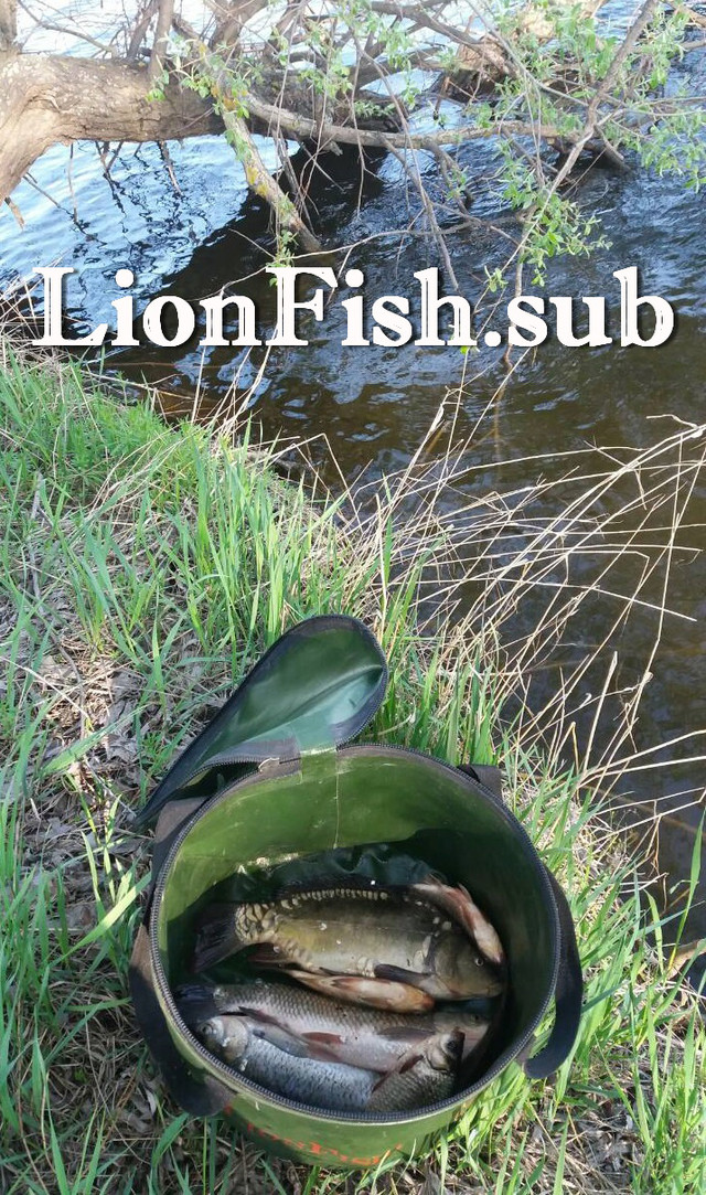 Складное Рыболовное Ведро для рыбалки, прикормки, охоты от производителя LionFish.sub