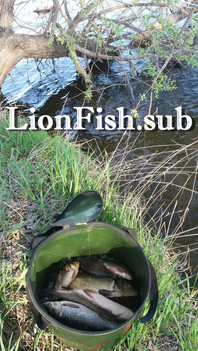 Складное Рыболовное Ведро для рыбалки, прикормки, охоты от производителя LionFish.sub