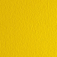 Картон цветной для пастели Elle Erre 07 giallo А4 (21х29,7 см) 220 г/м.кв. Fabriano Италия