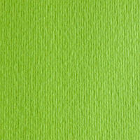 Картон кольоровий для пастелі Elle Erre 10 verde pisello А4 (21х29,7 см) 220 г/м2. Fabriano Італія