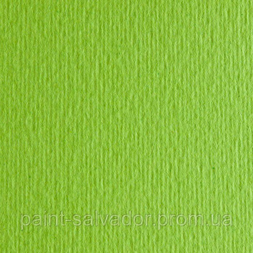 Картон цветной для пастели Elle Erre 10 verde pisello А4 (21х29,7 см) 220 г/м.кв. Fabriano Италия - фото 1 - id-p322425807
