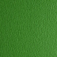 Картон цветной для пастели Elle Erre 11 verde А4 (21х29,7 см) 220 г/м.кв. Fabriano Италия