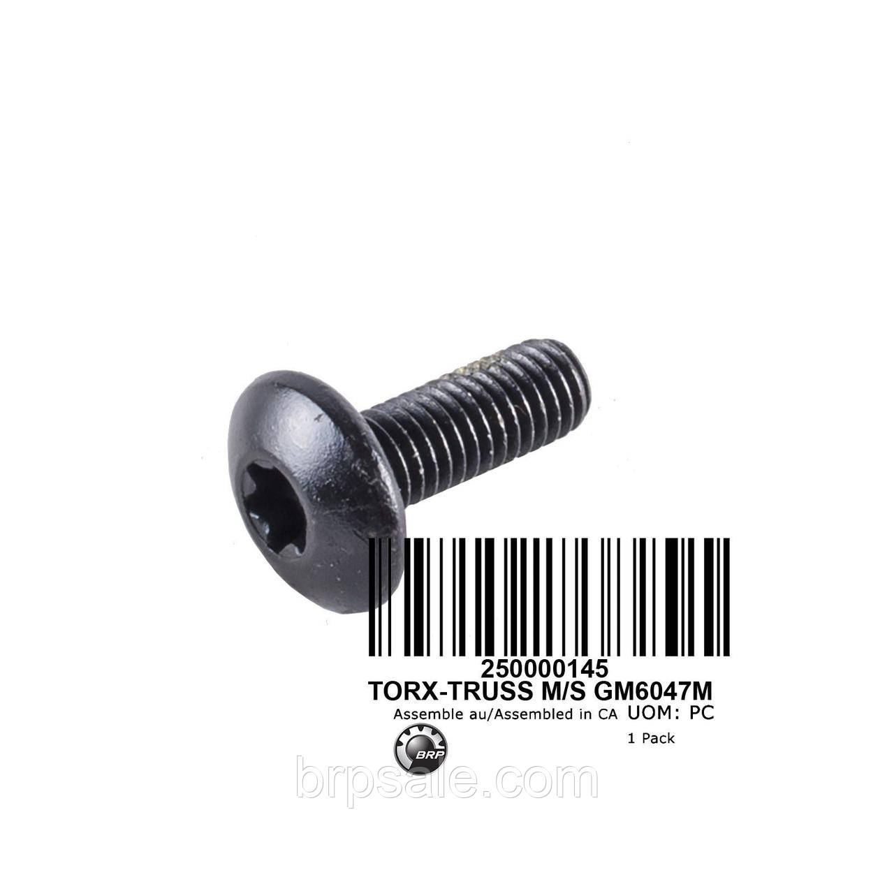Болт кріплення Torx truss GM 6047M