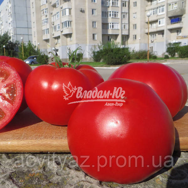Семена томата Чимган F1, 250 семян