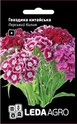 Насіння гвоздики Перський Килим, 0,1 гр., суміш