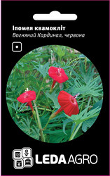 Насіння іпомеї Вогненний Кардинал, 0,5 гр., квамокліт червона