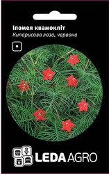 Насіння іпомеї Кипарисова лоза, 0,2 гр., квамокліт червона