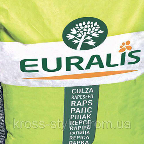 Насіння рапса, Євраліс, ES Darko, Рапс, Euralis